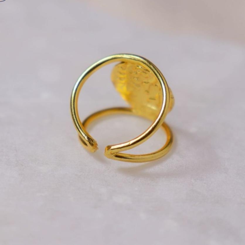 Indus Ring